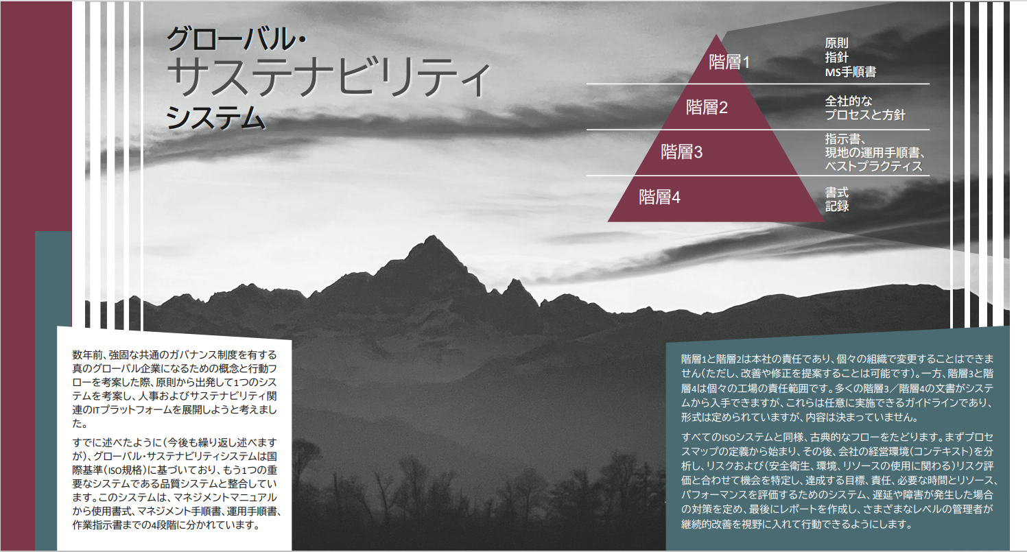 Road to Sustainability - Strategy and Pillars